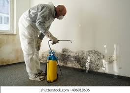 West Canton, NC Mold Remediation Company